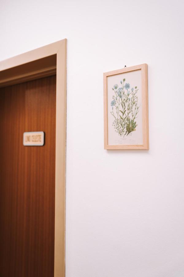 Casa Camilla Bed & Breakfast San Michele allʼAdige Eksteriør bilde